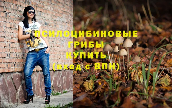 Альфа ПВП Кодинск