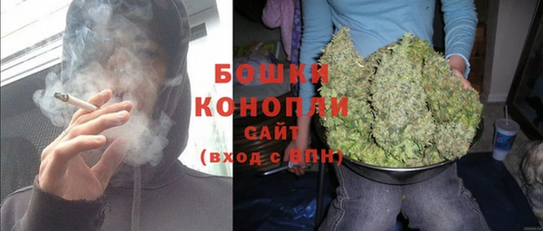 ПСИЛОЦИБИНОВЫЕ ГРИБЫ Костерёво