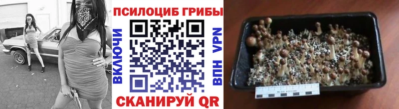 Псилоцибиновые грибы MAGIC MUSHROOMS Лукоянов