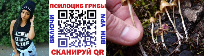 купить закладку  ОМГ ОМГ маркетплейс  shop формула  Лукоянов  Псилоцибиновые грибы Psilocybe 